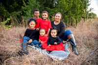 Justice Family